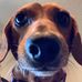 Christine Burnside - Facebook