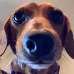 Christine Burnside - @burnie_1 - Instagram