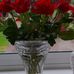 Christine Burrows - Facebook