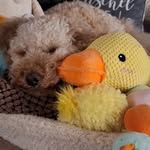 Christine Büttner - @christine_b512 - Instagram