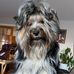 Christine Button - Facebook