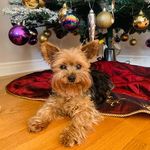 Christine Paul Button - @christinepaulbutton - Instagram