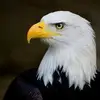 christinbuzard - @christinbuzard - TikTok