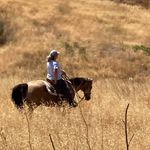Christine Buzzard - @christinebuzzard - Instagram