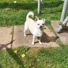 Christine Byrom396 - @christinebyrom396 - TikTok