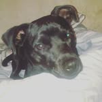 Christine Byrom - @cbyrom669 - Instagram