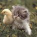 Christine Cabras - Facebook