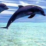 Christine Cacciatore - @cacciatorechristine5 - Instagram