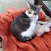 Christine Cameron - Facebook