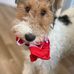 Christine Cameron - Facebook