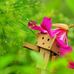 Christine Caputo - Facebook
