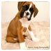 Christine Clapp - Facebook