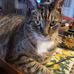 Christine Cleaver - Facebook