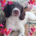 Christine Clegg - Facebook