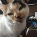 Christine Clegg - Facebook