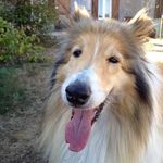 Christine Clegg - @christine_clegg - Instagram