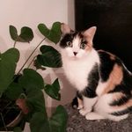 M-christine Decamps - @decampsm_christine - Instagram