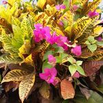 Christine Decarme Hagneré - @christine_dech - Instagram