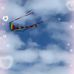 Christine Dech - Facebook