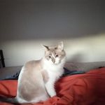 Christine Dechone - @christine.dechone.73 - Instagram