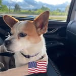 Christine Deming Drumm - @drumm.christine - Instagram