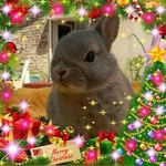 Deminguet Christine - @christinedeminguet - Instagram