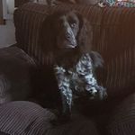Christine Denney - @denneychristine - Instagram