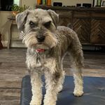 Christine Denney Kaufmann - @christinedtx - Instagram