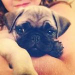 Christine Denney-Yerkes - @denneyyerkes - Instagram
