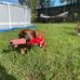 Christine Dodson - Facebook
