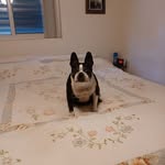 Christine Dodson - @christine.dodson.9887 - Instagram