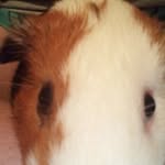 christine downing - @chri.stinedowning - Instagram