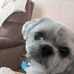 Christine Downing - Facebook
