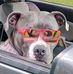 Christine Downing D'Olivio - Facebook