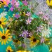 Christy Eads - Facebook