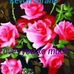 Christine Eagle - Facebook
