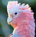 Christine Eagleton - Facebook