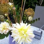 Christine Eberhardt - @christine.eberhardt.90 - Instagram
