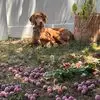 Christine Eberle - @christine.eberle31 - TikTok