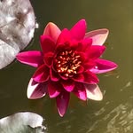 Christine Egger - @egger9860 - Instagram