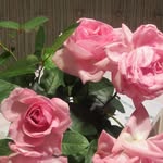 christine Egger - @egger2507 - Instagram