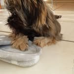 Christine Egger - @christine.egger.50 - Instagram