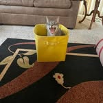 Christine Fair - @christine.fair.395 - Instagram