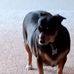 Christine Ferrell - Facebook