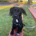 Christine Ferrell - @cferrell96 - Instagram