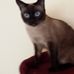 Christine Fleischmann - Facebook