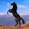 Christine Gary - @christine.gary - TikTok
