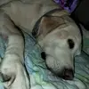 christinegatchell - @christinegatchell - TikTok
