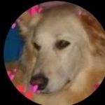Christine Gendron - @cookiedestie22 - Instagram