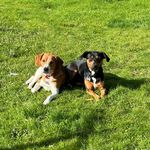 Christine Gendron - @gendron.christine - Instagram